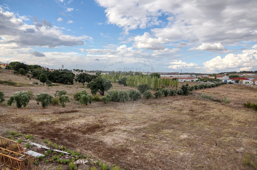 Terreno para Venda em Cartaxo e Vale da Pinta Foto 5