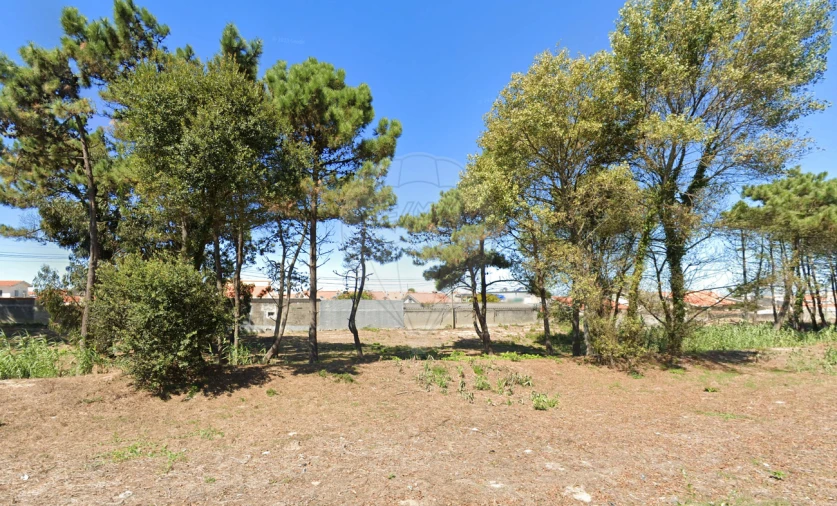 Terreno para Venda em Mindelo Foto 11