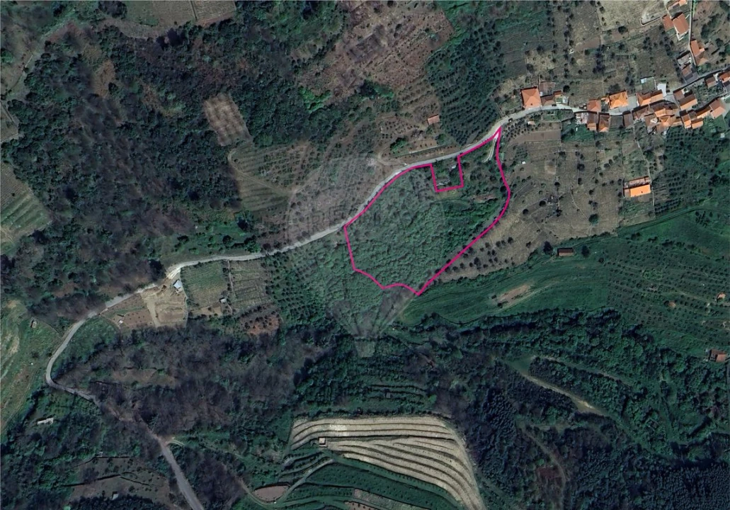Terreno para Venda em Ferreiros de Avões Foto 1