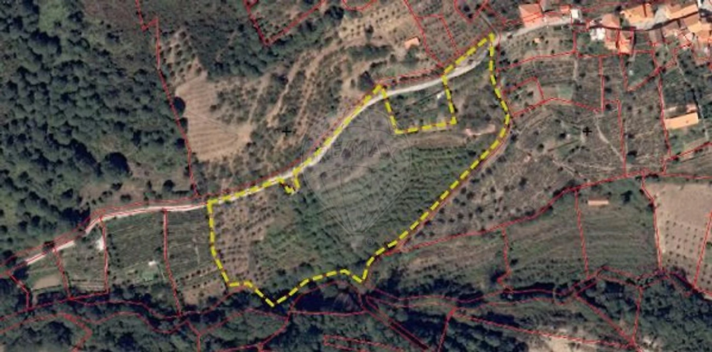 Terreno para Venda em Ferreiros de Avões Foto 1