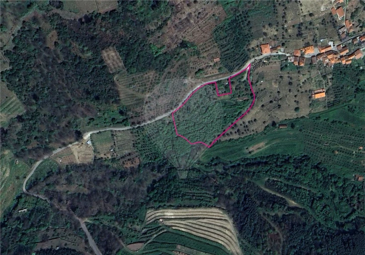 Terreno para Venda em Ferreiros de Avões Foto 1