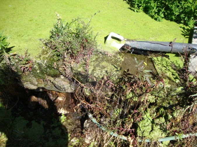 Terreno para Venda em Ferreiros de Avões Foto 5