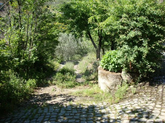 Terreno para Venda em Ferreiros de Avões Foto 6