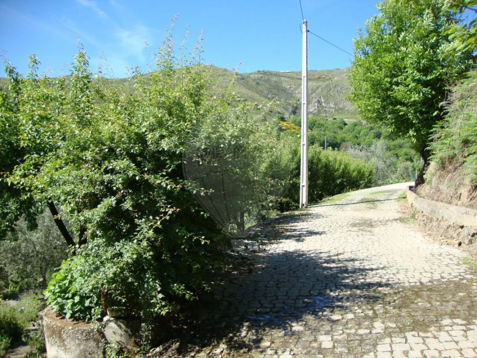 Terreno para Venda em Ferreiros de Avões Foto 2