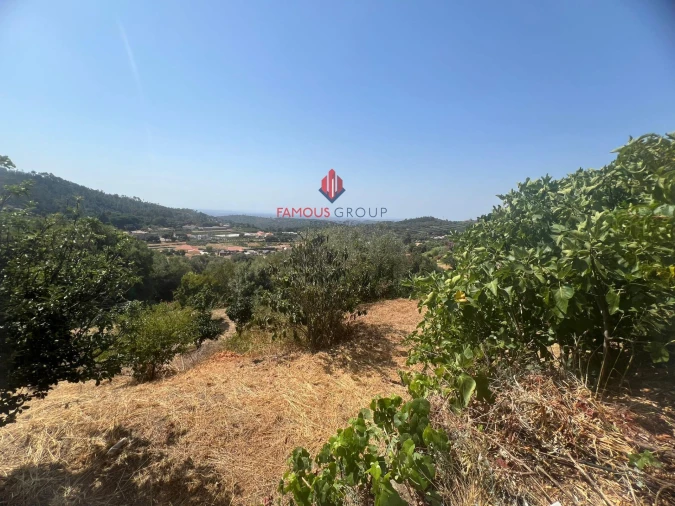 Moradia T2 para Venda em Monchique Foto 27