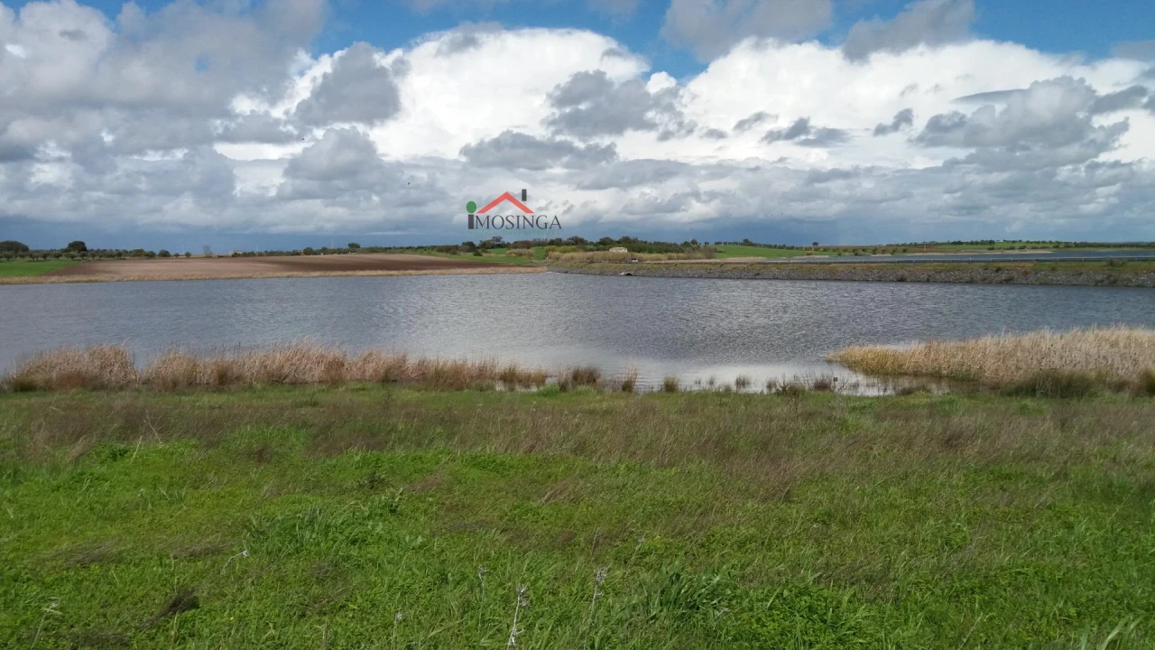 Terreno Agricola ou Rústico para Venda em Beringel Foto 4