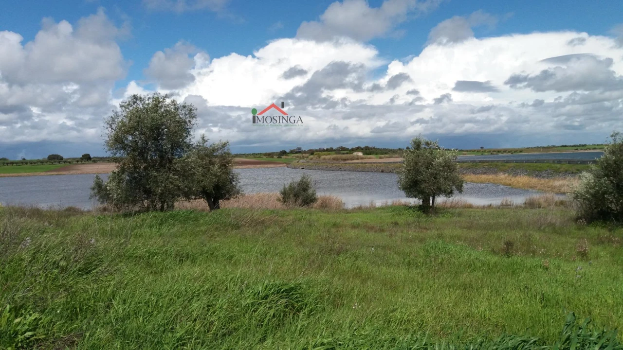 Terreno Agricola ou Rústico para Venda em Beringel Foto 7