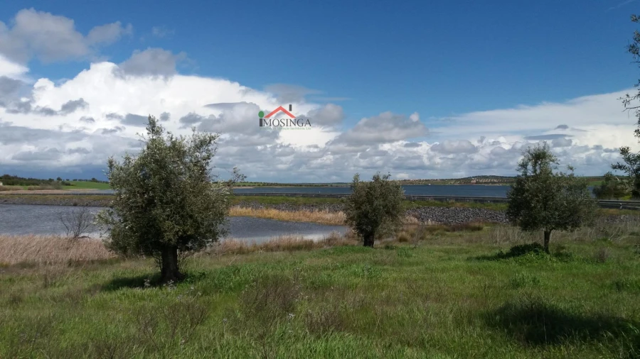 Terreno Agricola ou Rústico para Venda em Beringel Foto 2