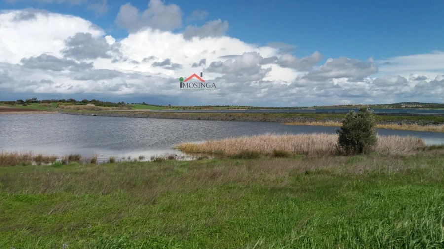 Terreno Agricola ou Rústico para Venda em Beringel Foto 5