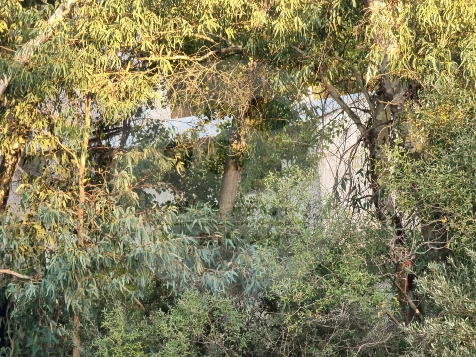 Moradia T5 para Venda em Ourique Foto 12