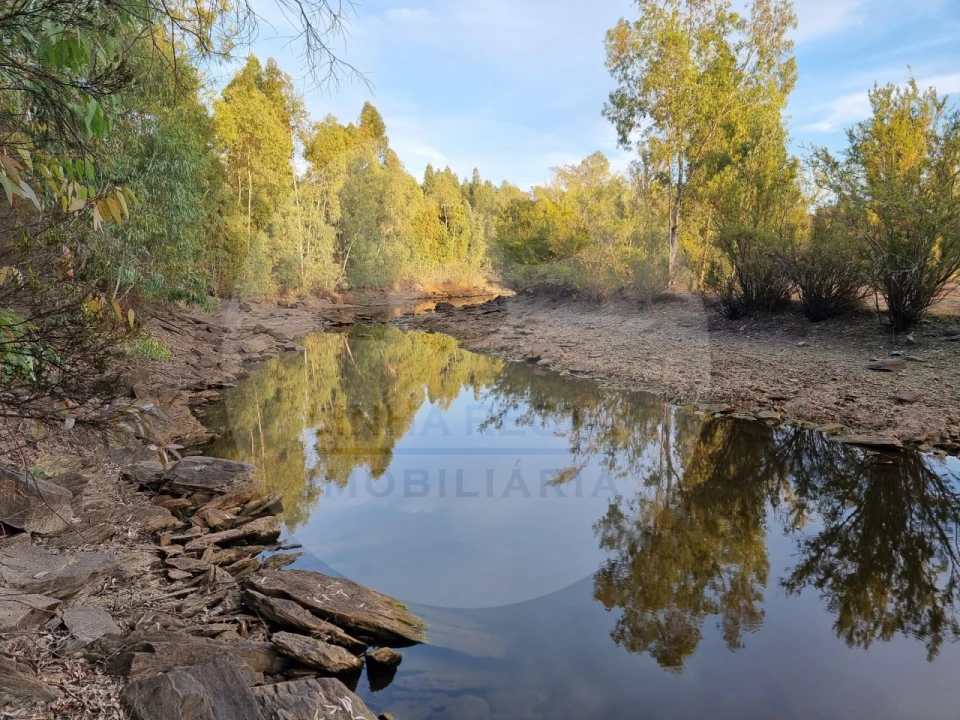 Moradia T5 para Venda em Ourique Foto 2