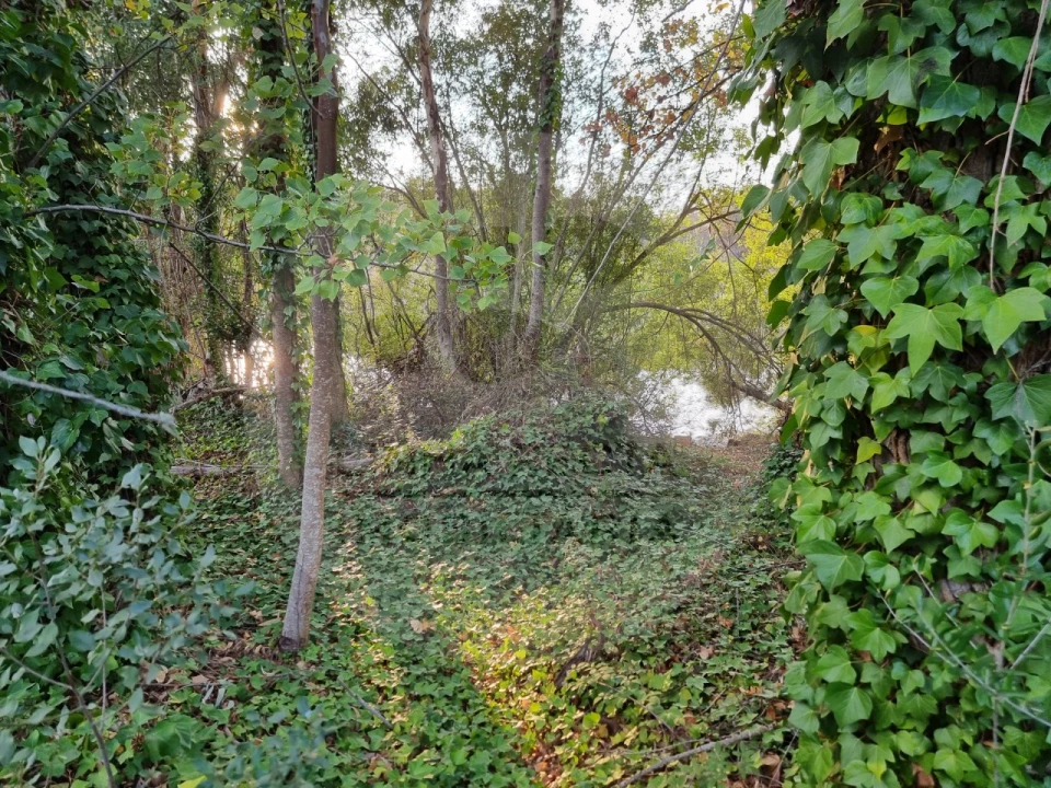 Moradia T5 para Venda em Ourique Foto 9