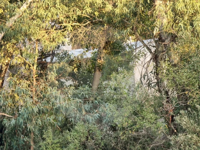 Moradia T5 para Venda em Ourique Foto 12