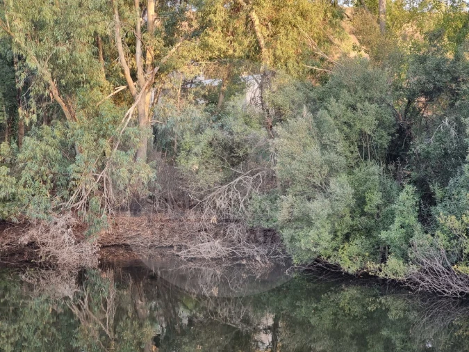 Moradia T5 para Venda em Ourique Foto 11