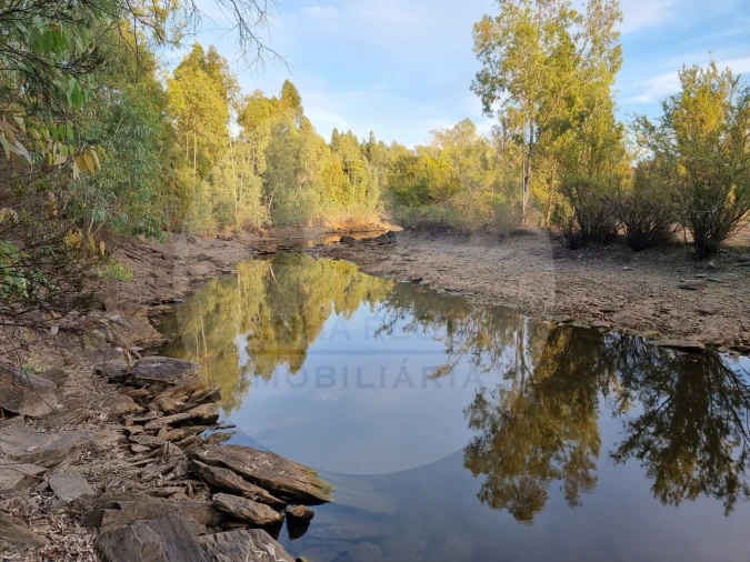 Moradia T5 para Venda em Ourique Foto 2