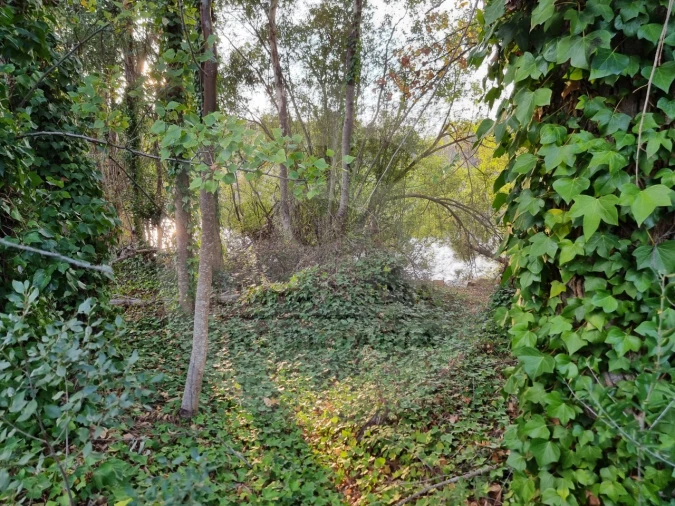 Moradia T5 para Venda em Ourique Foto 9