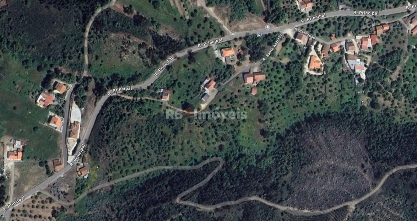 Terreno Agricola ou Rústico para Venda em São Pedro de Tomar Foto 2