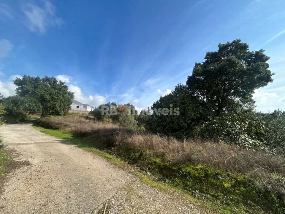 Terreno Agricola ou Rústico para Venda em São Pedro de Tomar Foto 13