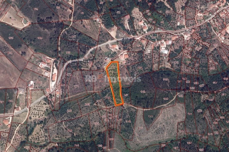 Terreno Agricola ou Rústico para Venda em São Pedro de Tomar Foto 3