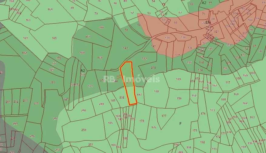 Terreno Agricola ou Rústico para Venda em São Pedro de Tomar Foto 4
