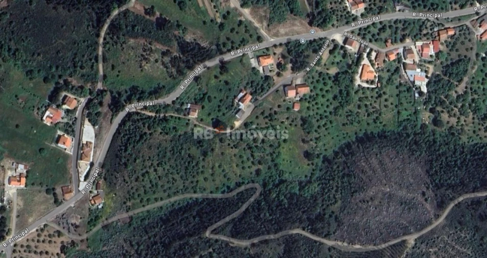 Terreno Agricola ou Rústico para Venda em São Pedro de Tomar Foto 2