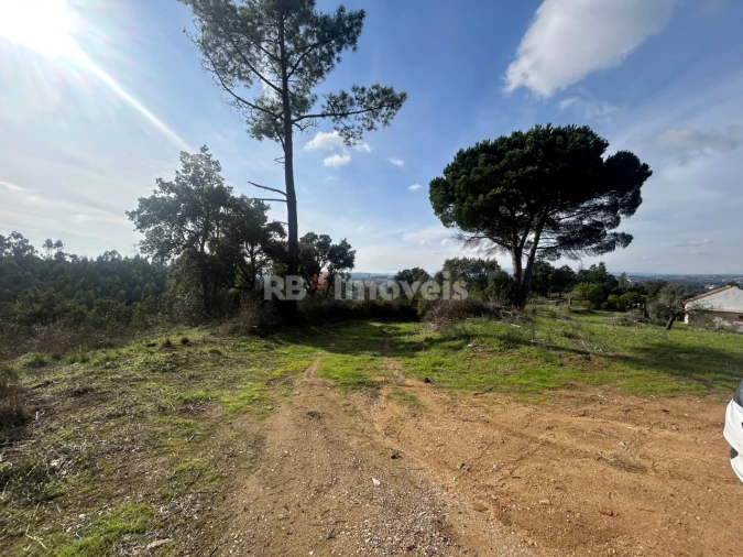 Terreno Agricola ou Rústico para Venda em São Pedro de Tomar Foto 10