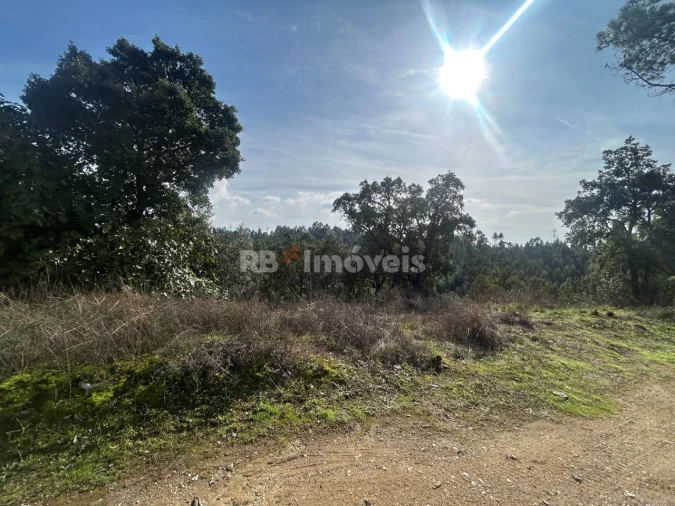 Terreno Agricola ou Rústico para Venda em São Pedro de Tomar Foto 11