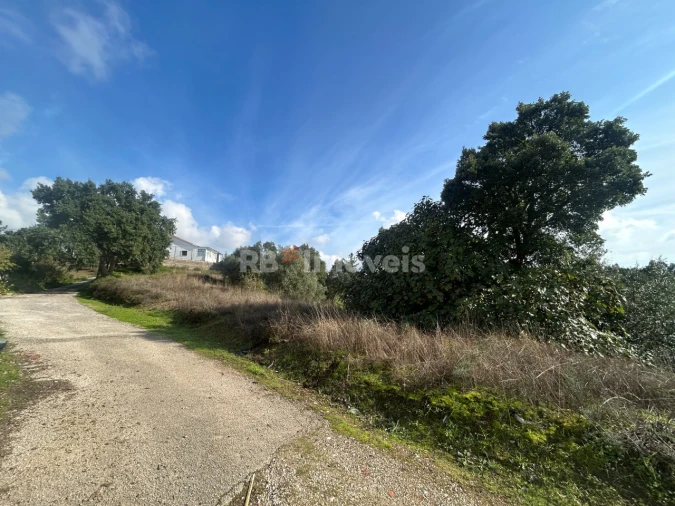 Terreno Agricola ou Rústico para Venda em São Pedro de Tomar Foto 13