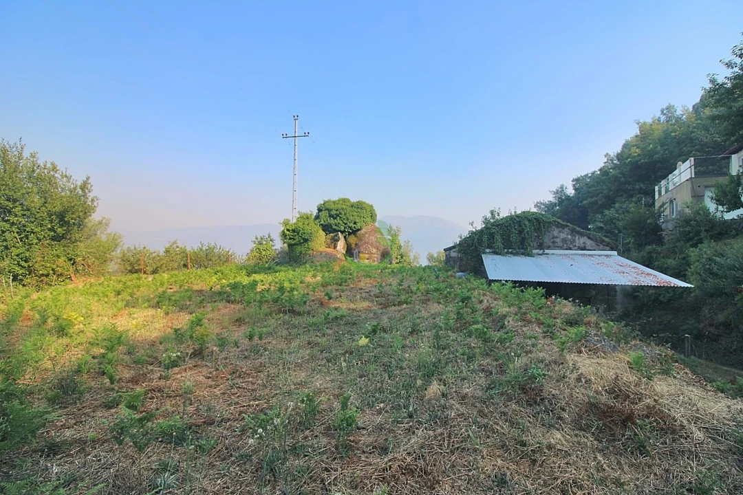 Terreno para Venda em Bouro (Santa Marta) Foto 11