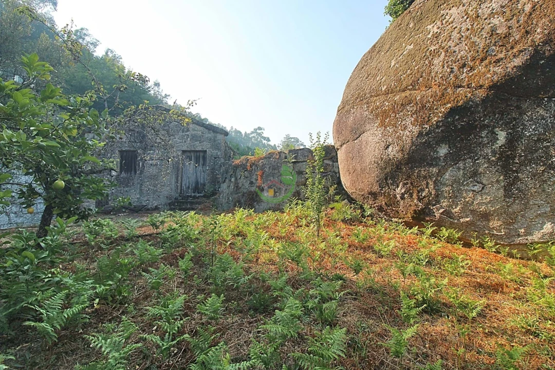 Terreno para Venda em Bouro (Santa Marta) Foto 9
