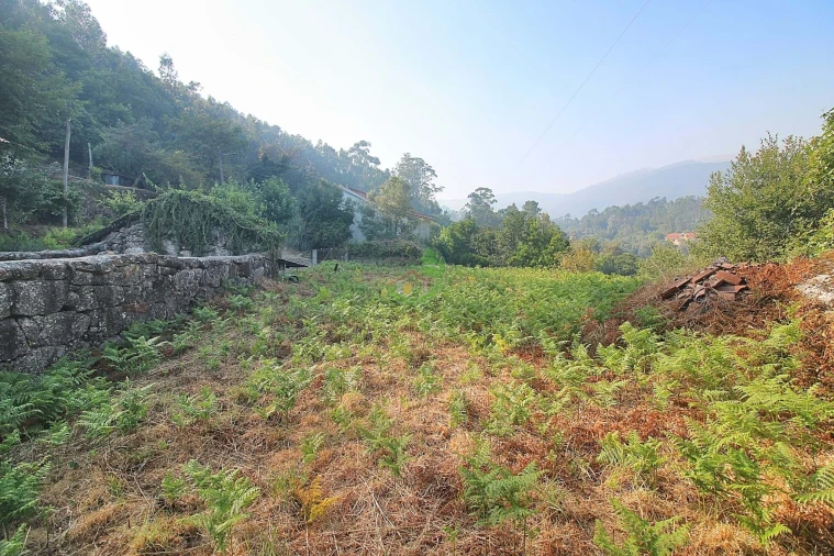 Terreno para Venda em Bouro (Santa Marta) Foto 10