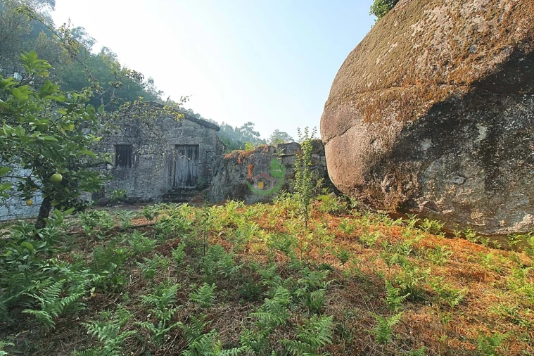 Terreno para Venda em Bouro (Santa Marta) Foto 9