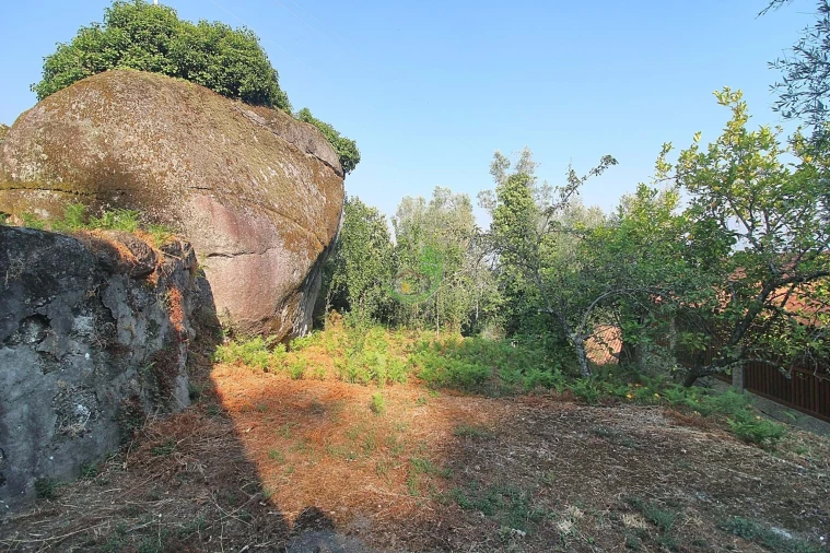Terreno para Venda em Bouro (Santa Marta) Foto 8