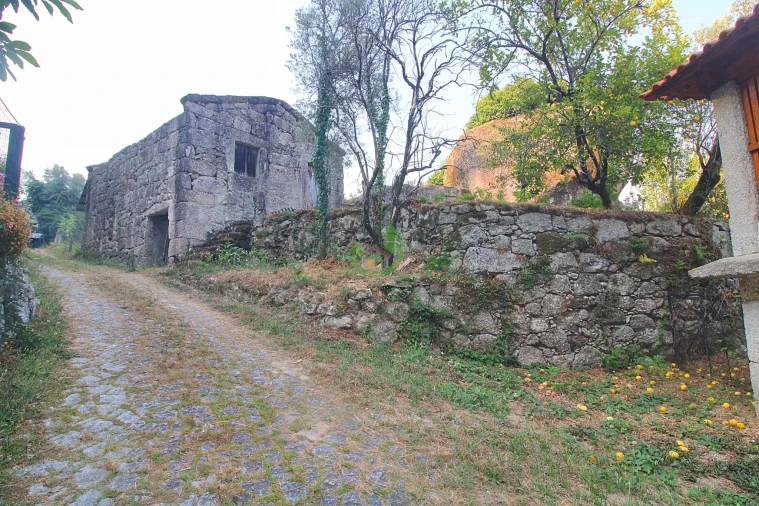 Terreno para Venda em Bouro (Santa Marta) Foto 2