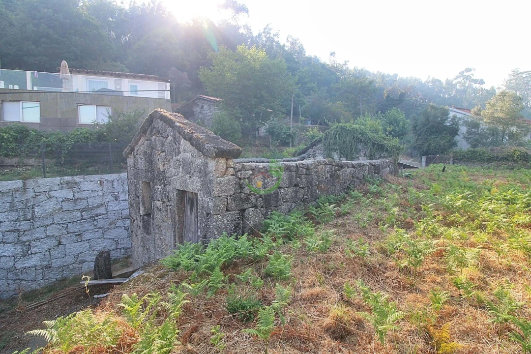 Terreno para Venda em Bouro (Santa Marta) Foto 5