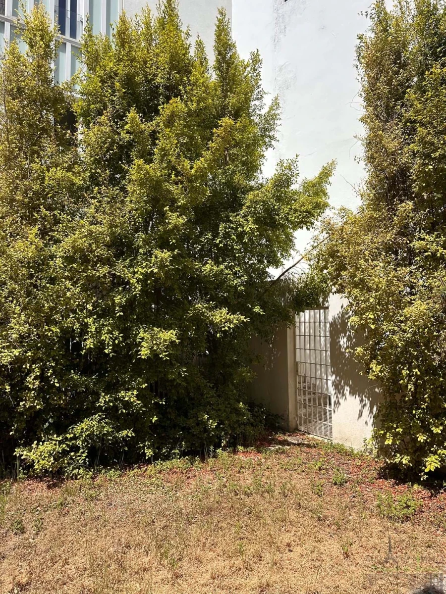 Apartamento T4 para Venda em Santa Maria Maior Foto 6