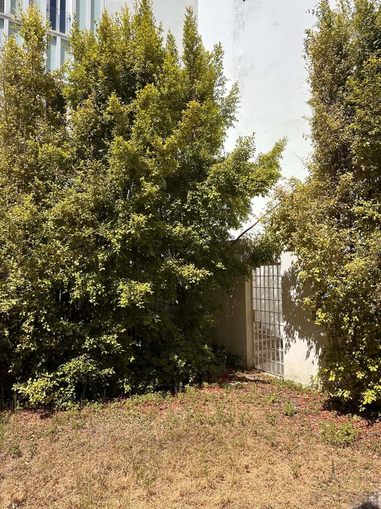 Apartamento T4 para Venda em Santa Maria Maior Foto 6