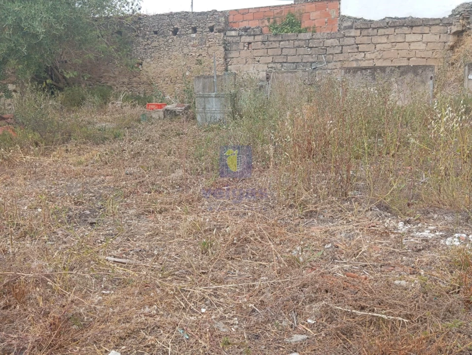 Terreno para Venda em Salir de Matos Foto 8