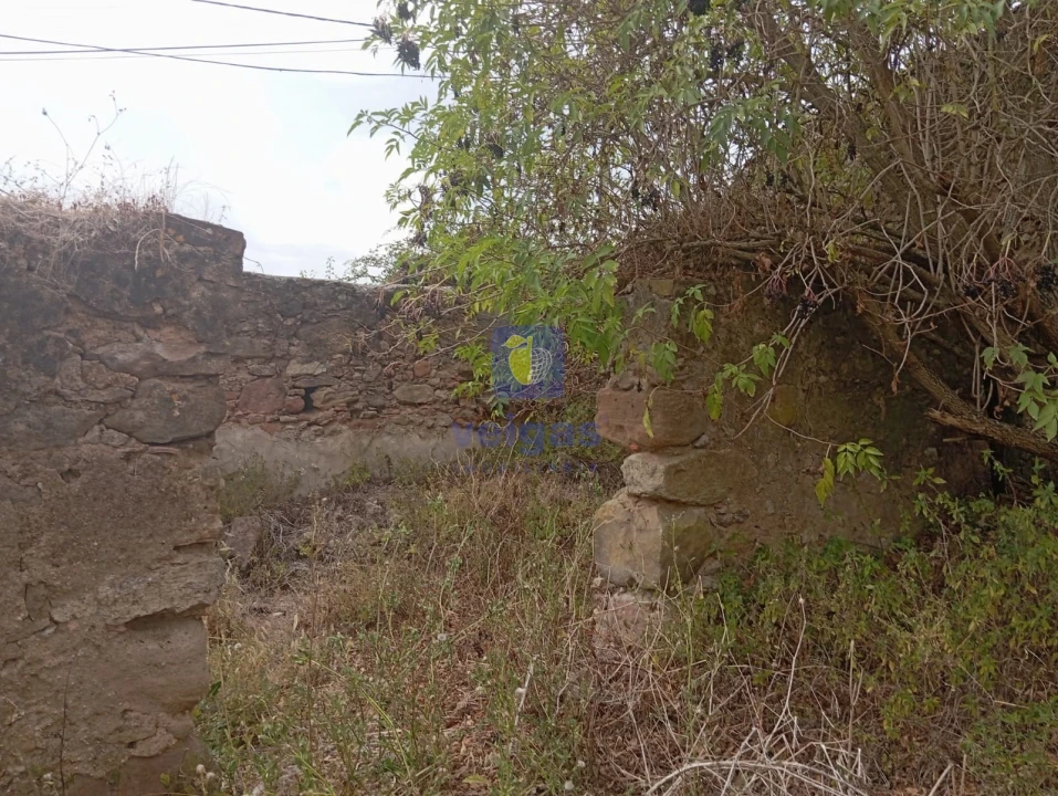 Terreno para Venda em Salir de Matos Foto 7