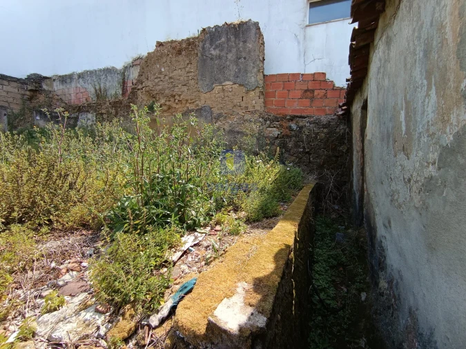 Terreno para Venda em Salir de Matos Foto 20