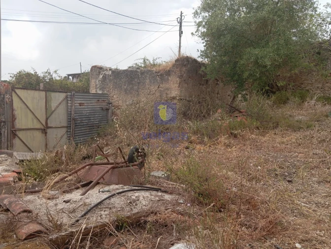 Terreno para Venda em Salir de Matos Foto 12
