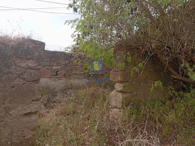 Terreno para Venda em Salir de Matos Foto 7