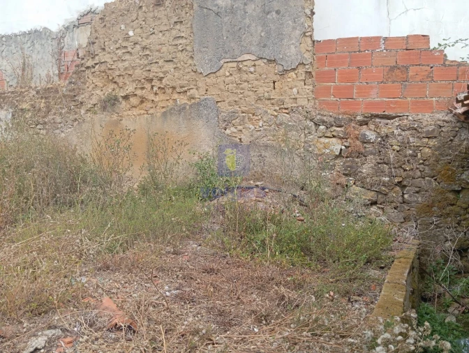 Terreno para Venda em Salir de Matos Foto 11