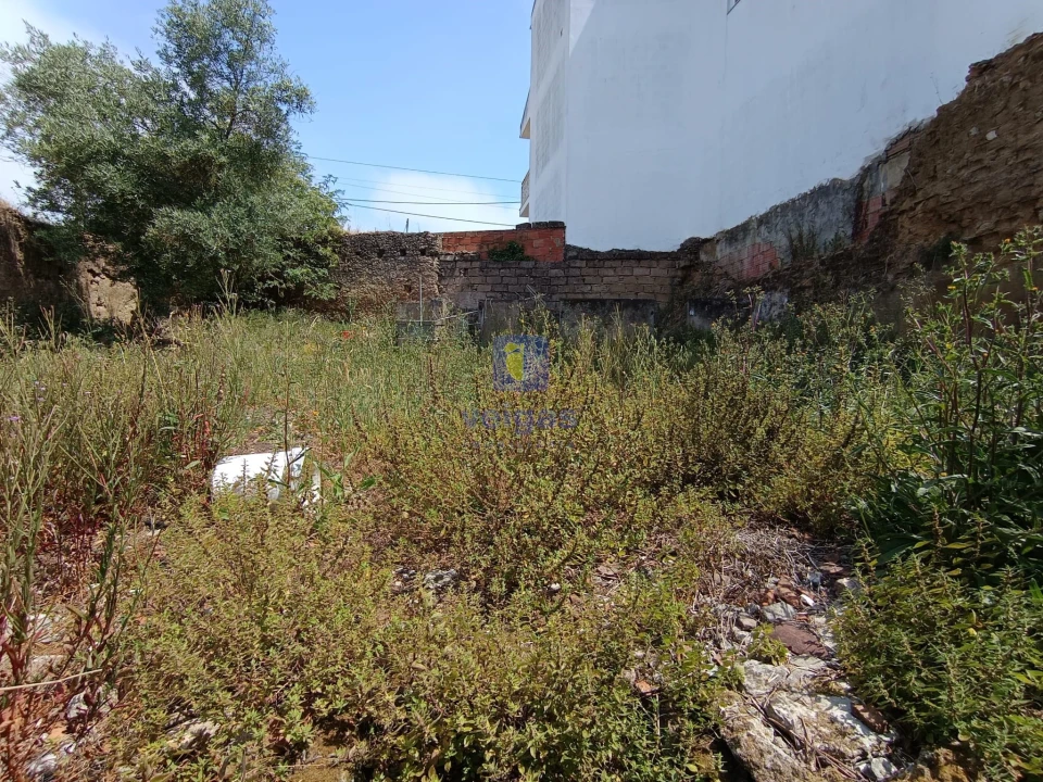 Terreno para Venda em Salir de Matos Foto 17