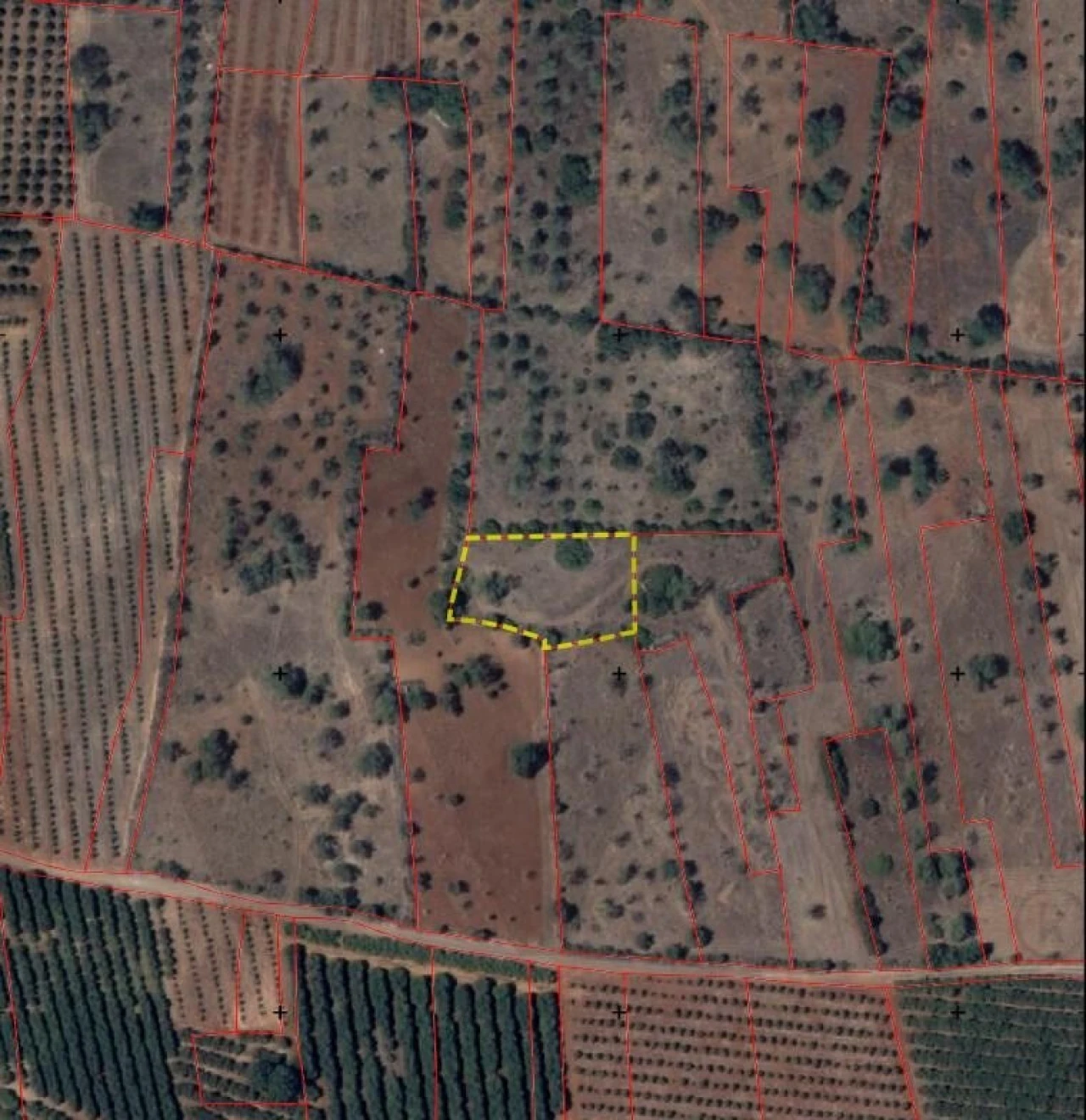 Terreno para Venda em São Bartolomeu de Messines Foto 1