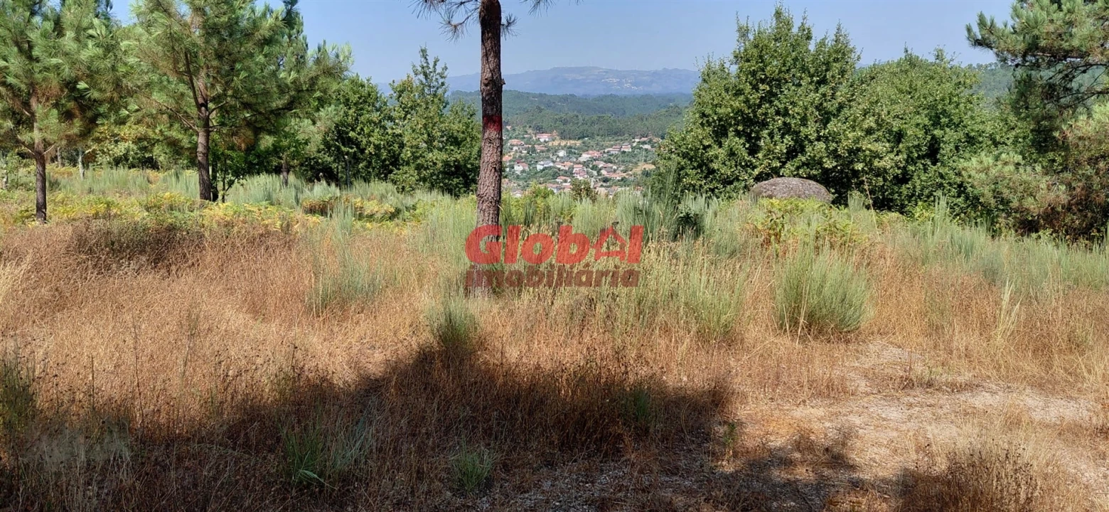 Terreno Agricola ou Rústico para Venda em Faíl e Vila Chã de Sá Foto 1