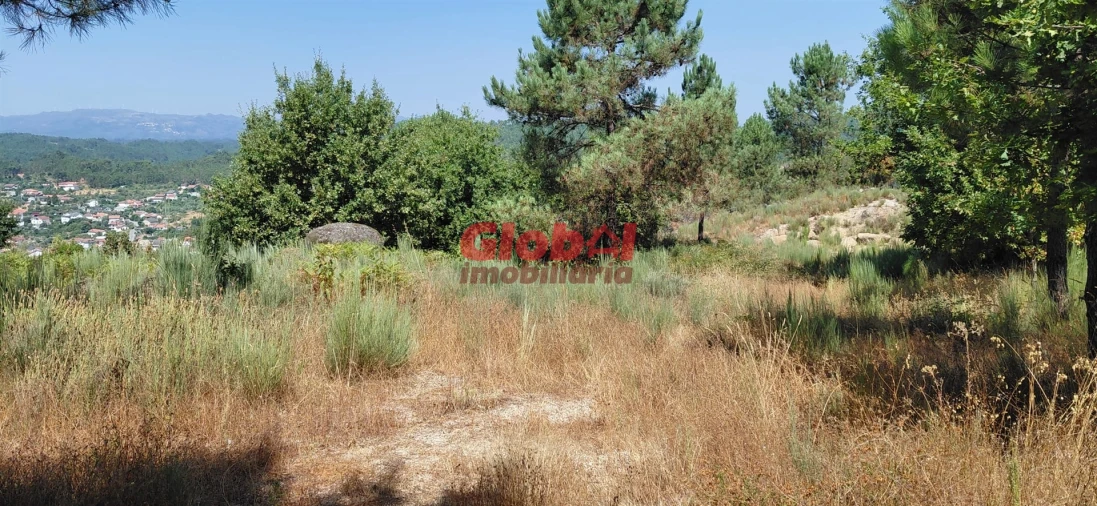 Terreno Agricola ou Rústico para Venda em Faíl e Vila Chã de Sá Foto 3