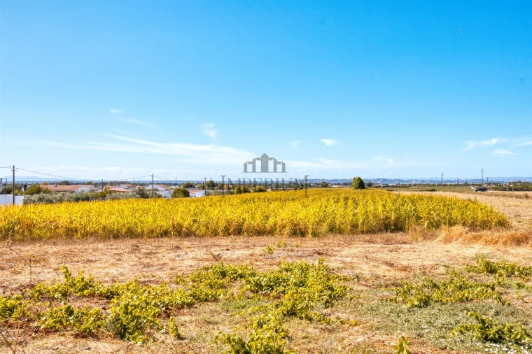 Moradia T3 para Venda em Almeirim Foto 61