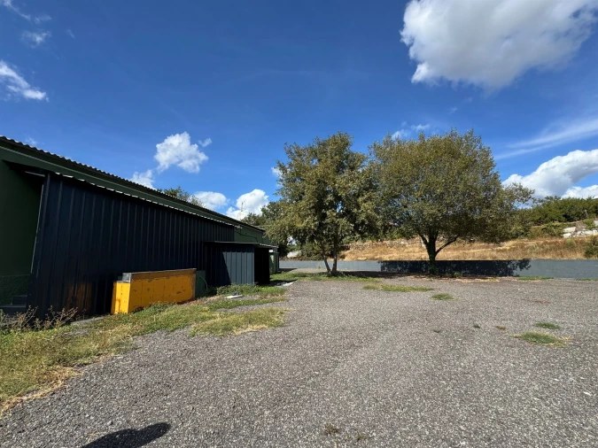 Negócio para Venda em Mundão Foto 6