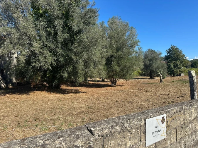 Moradia T1 para Venda em Moreira Foto 3